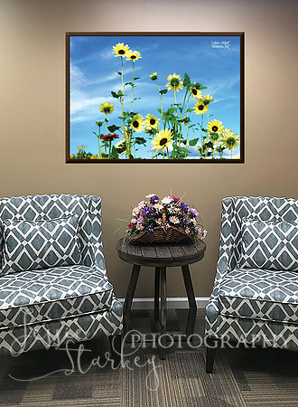 GNH Sitting 1