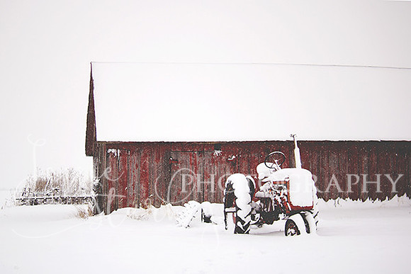 Snowy Days