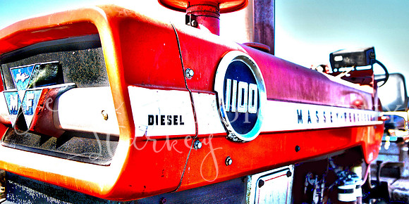 1100 Diesel Vivid