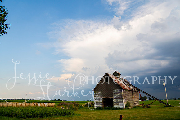 Summer Day
