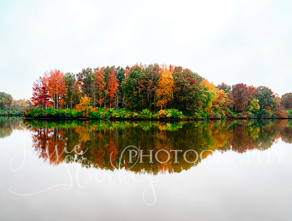 Fall Awakening