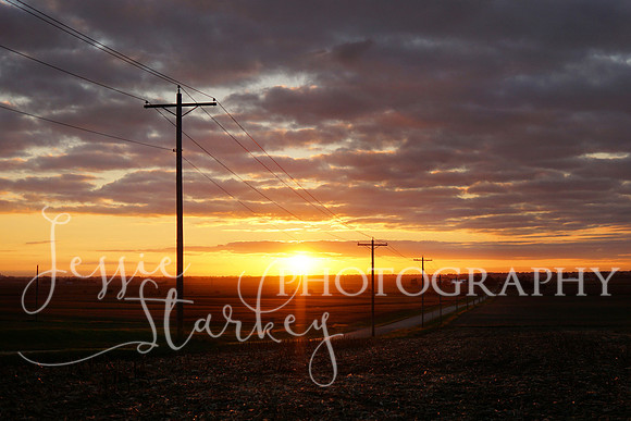 3 Crosses