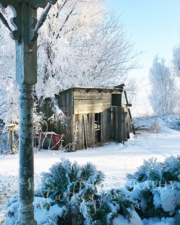 Winter from the Porch