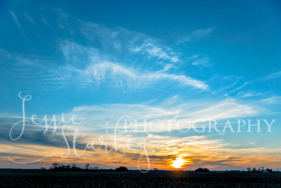 His Brush Strokes