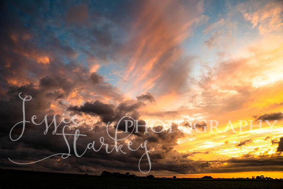 Sherbert Sunset