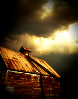 Golden Storm
