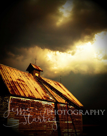 Golden Storm