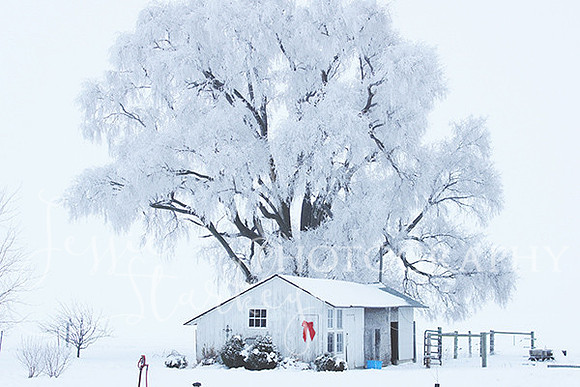 Frozen
