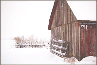 Red Shed