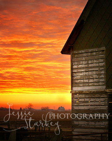 Crib Sunrise